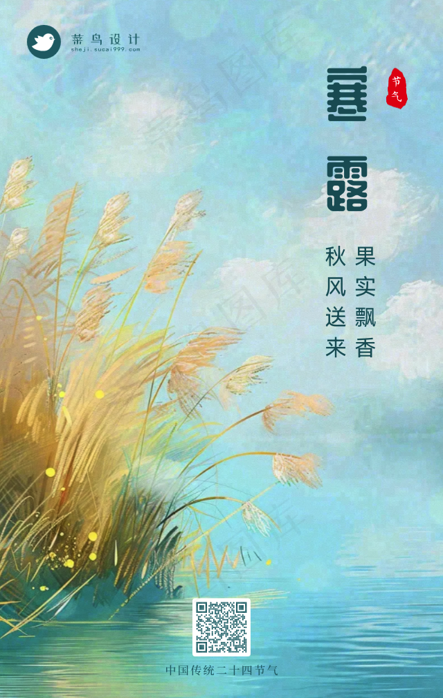 寒露手机海报