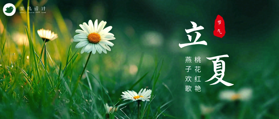 立夏公众号首图