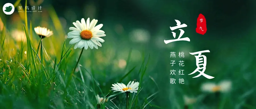 立夏公众号首图