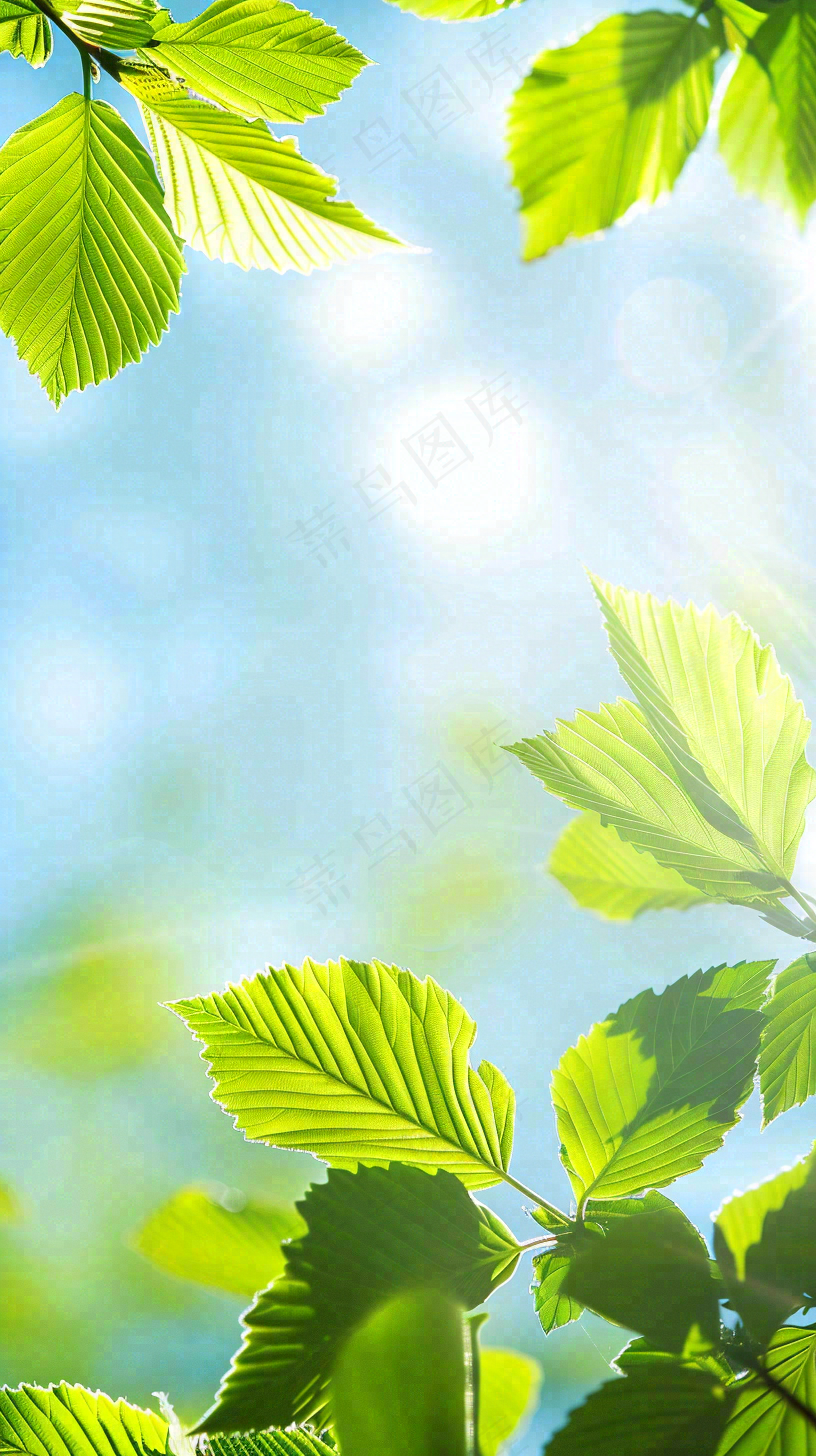 春天绿叶阳光小清新春分立夏摄影图