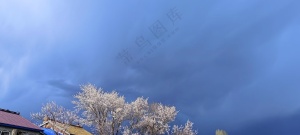 樱花白云村落