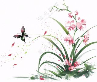 兰花粉色吊兰蝴蝶水墨画插画免抠