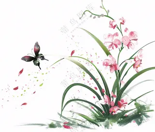 兰花粉色吊兰蝴蝶水墨画插画免抠