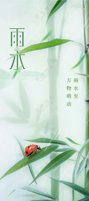 雨水节气传统活动海报