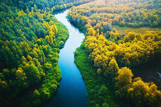 秋天立秋森林大自然风景摄影图