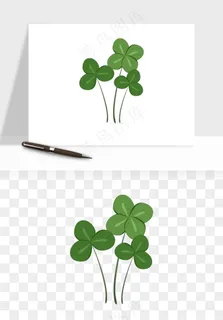 手绘四叶草幸运植物png免抠