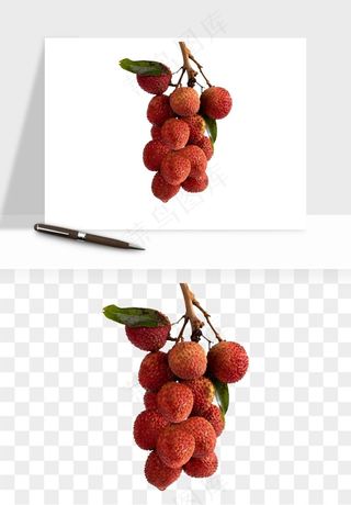 荔枝妃子笑水果png免抠