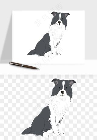 手绘狗狗宠物png免抠