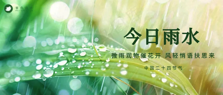 雨水公众号首图