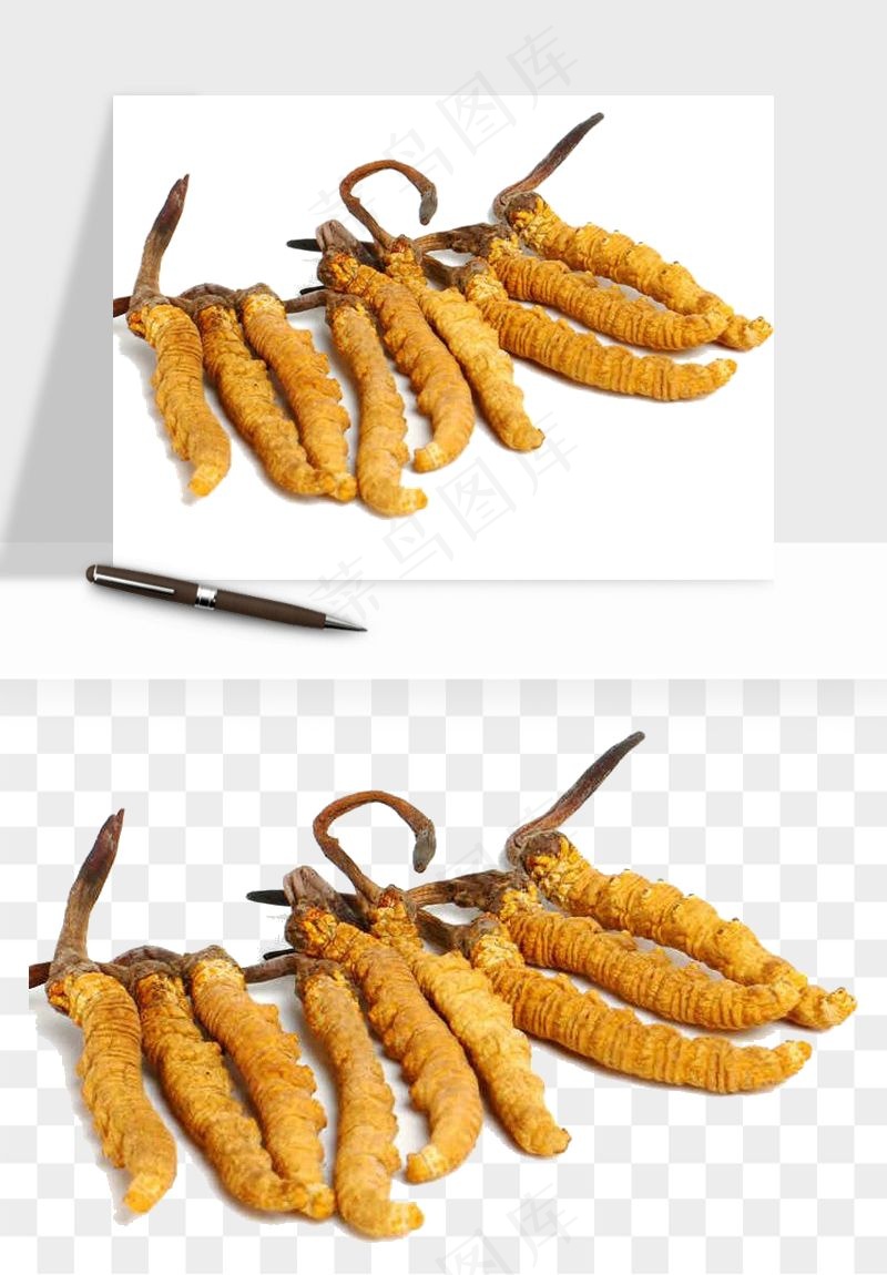 中药养生药材png免抠