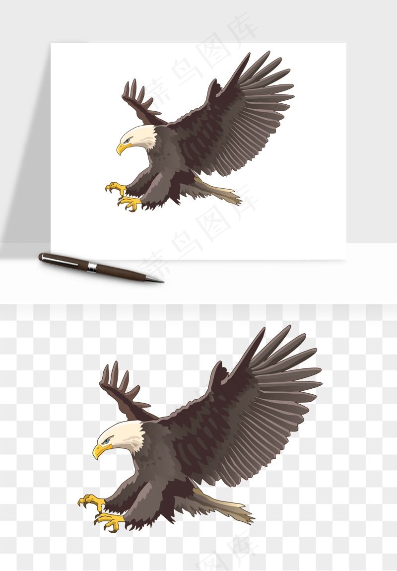 老鹰雄鹰展翅png免抠