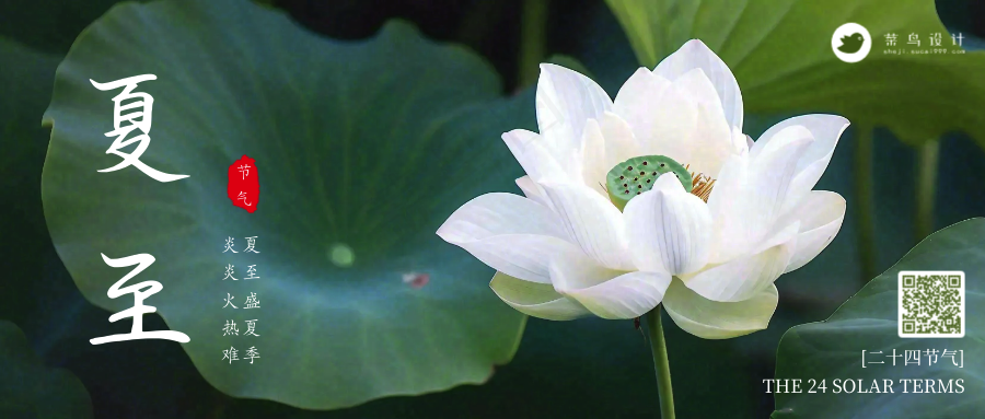 夏至公众号首图