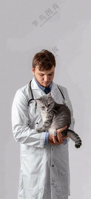 萌宠宠物医院医生抱着猫咪摄影图背景