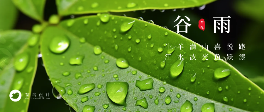 谷雨公众号首图