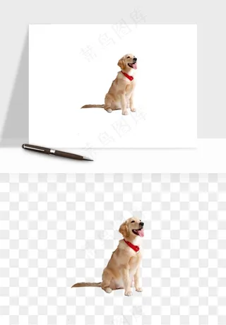 猫咪喵星人狗狗宠物元素png免抠