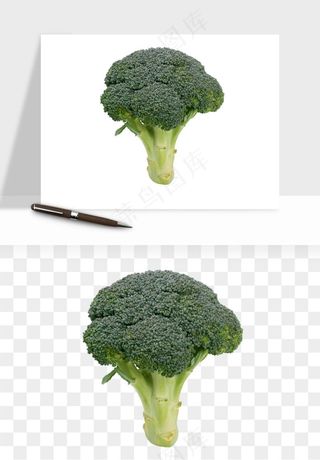 花菜椰菜花蔬菜png免抠