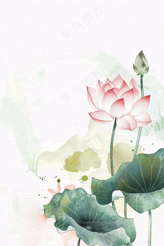 夏天荷花荷叶清凉小清新淡雅立夏夏至暑插画背景