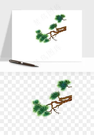 国潮松树松枝松叶png免抠