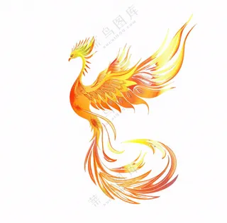 金色凤凰动物插画免抠