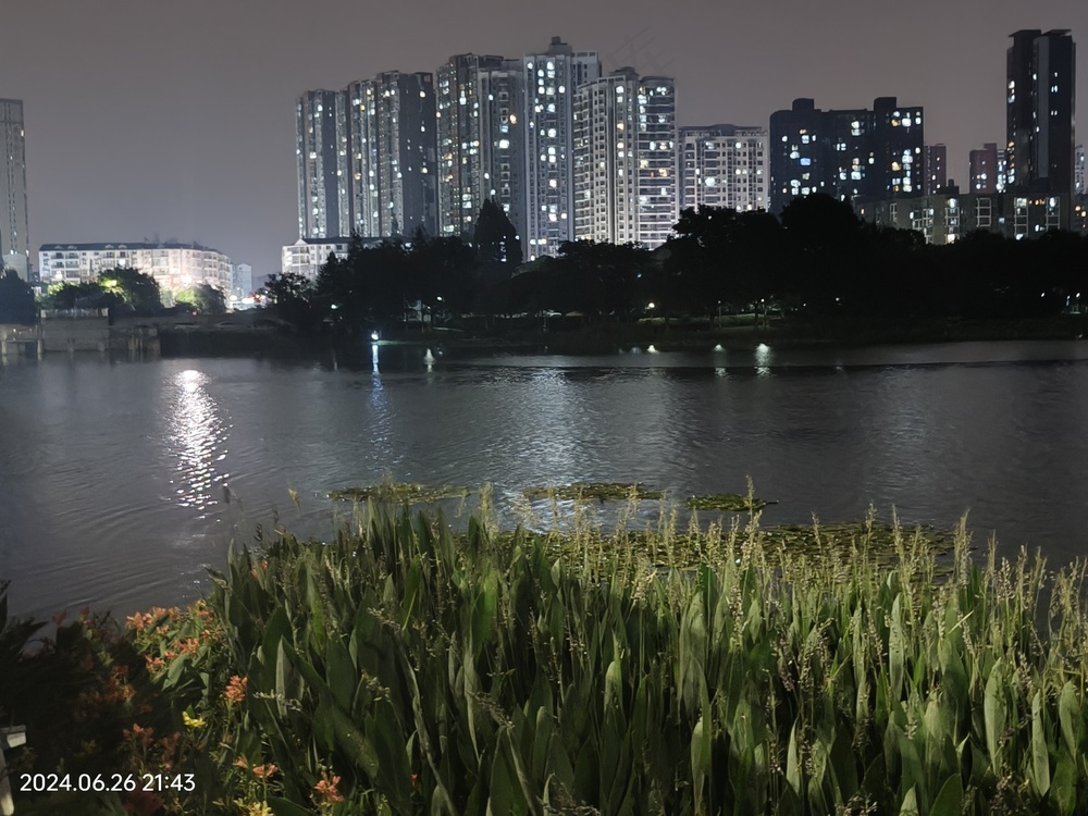 灯火下的小河水草