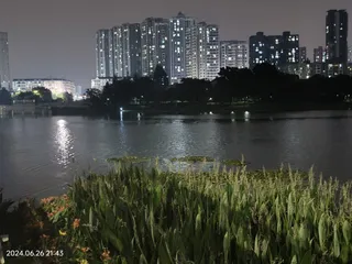 灯火下的小河水草