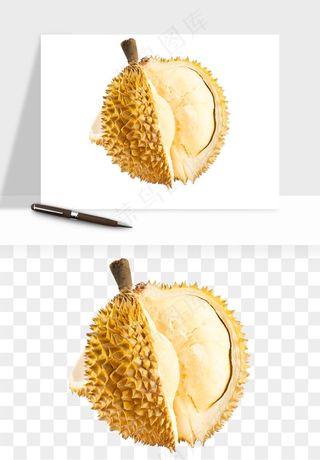 榴莲果肉水果png免抠