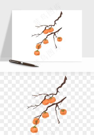 手绘柿子树秋png免抠