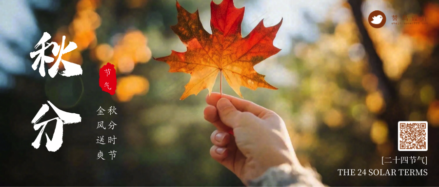 秋分公众号首图