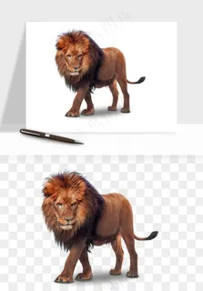狮子雄狮狮王动物png免抠