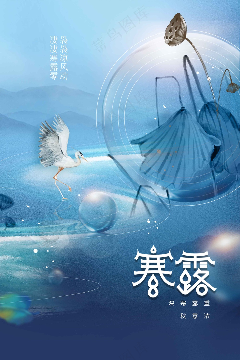 寒露节气传统活动宣传海报