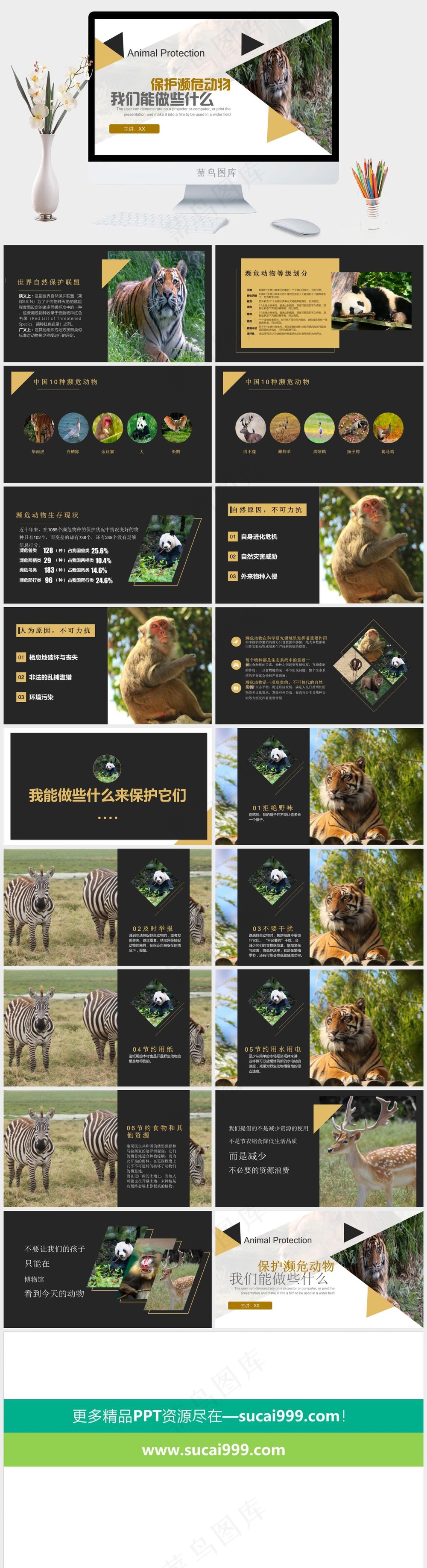 保护野生动物绿色环保PPT