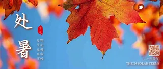 处暑公众号首图