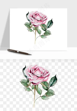 水彩复古花卉png免抠