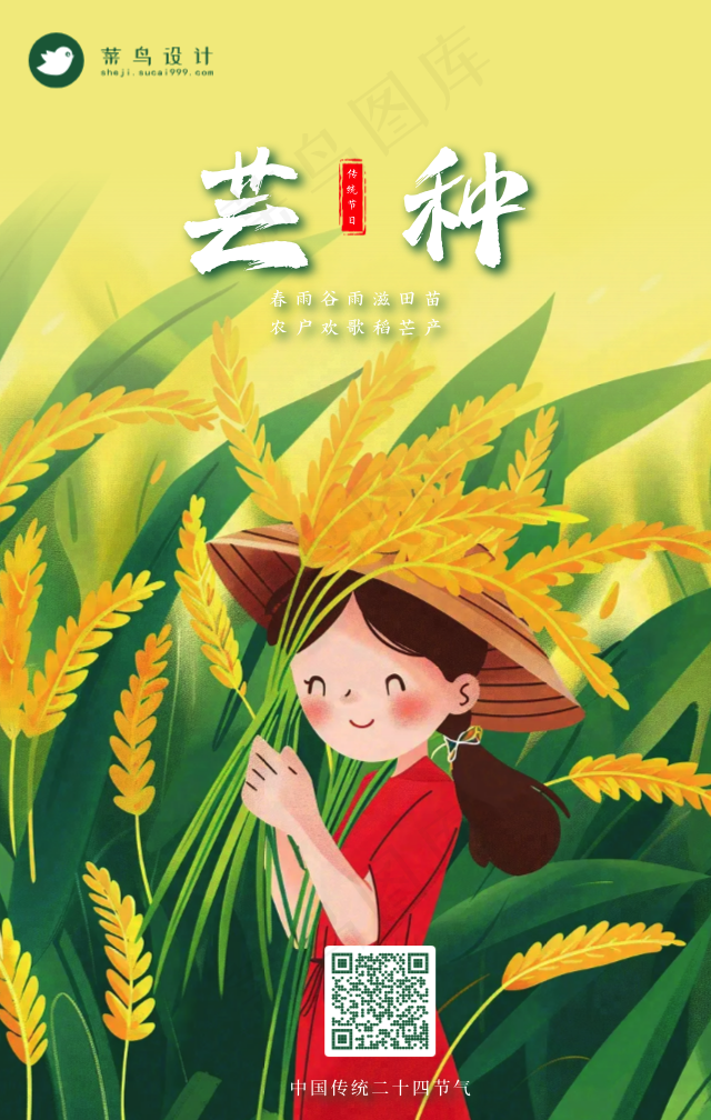 芒种手机海报