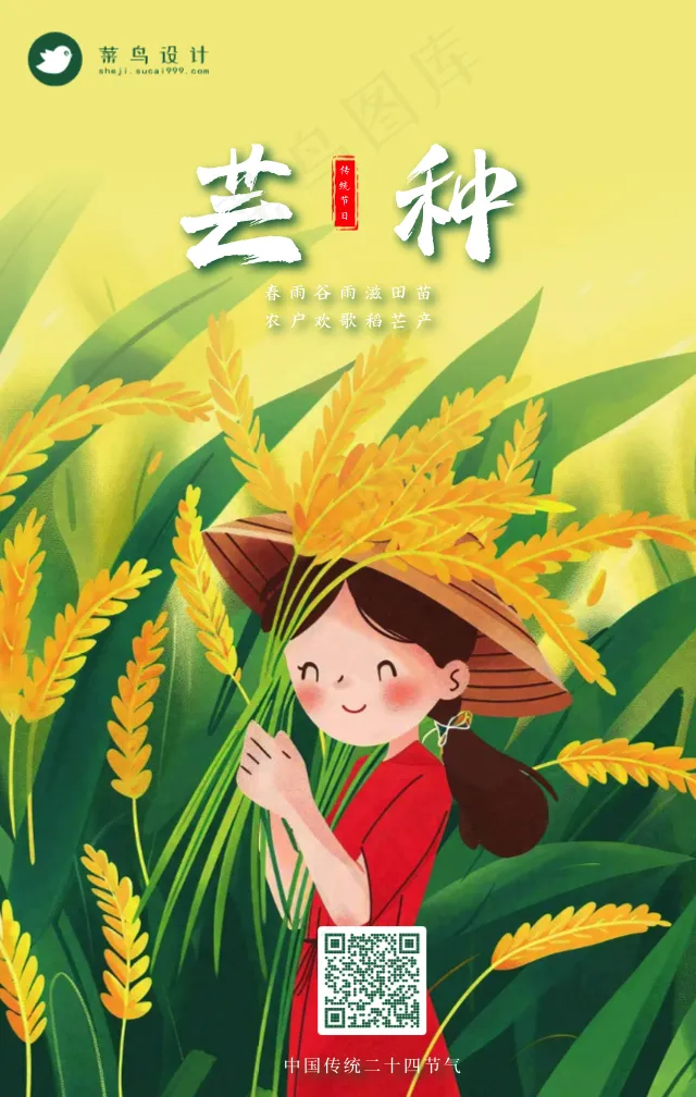 芒种手机海报