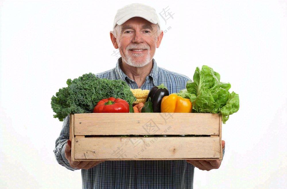 木框里的蔬菜绿色生鲜农夫摄影图
