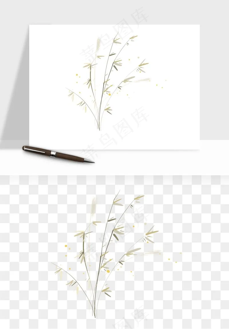 植物芦苇蒲苇香蒲png免抠