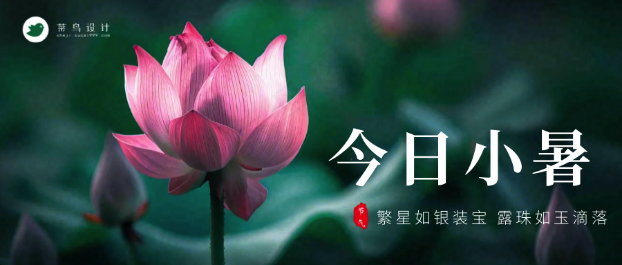 小暑公众号首图