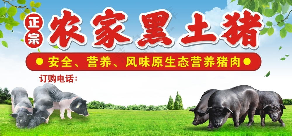 土猪海报黑土猪广告设计