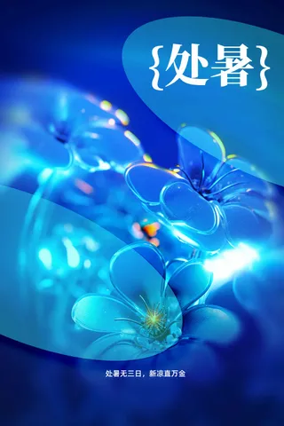 蓝色处暑节气传统活动海报