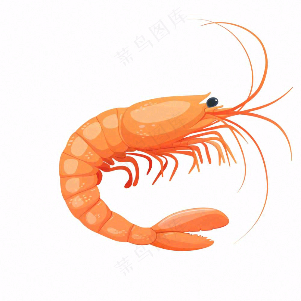 虾基围虾食物海洋卡通插画免抠
