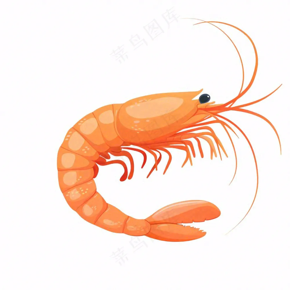 虾基围虾食物海洋卡通插画免抠