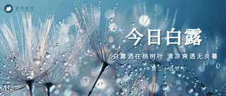 白露公众号首图