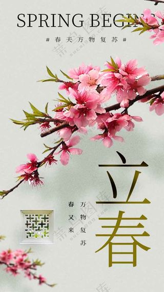 立春节气传统活动海报