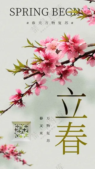 立春节气传统活动海报