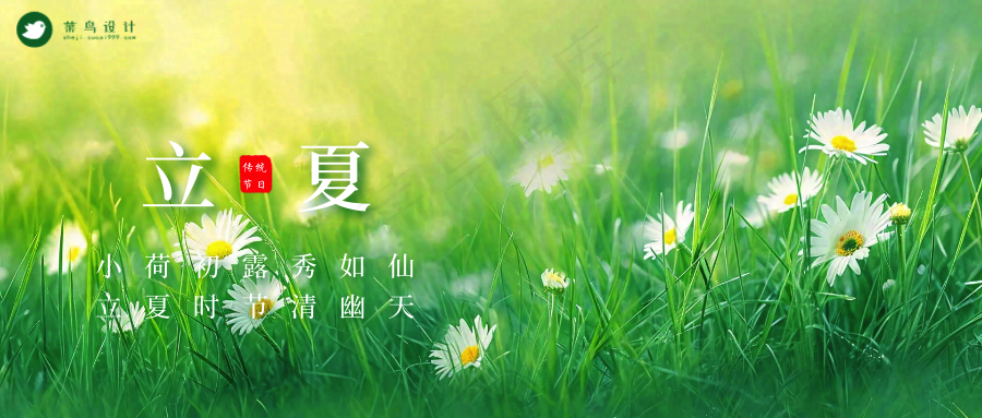 立夏公众号首图