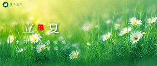 立夏公众号首图