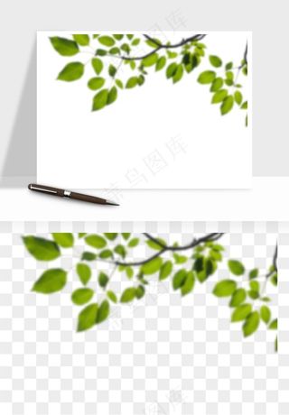 绿叶虚化前景树枝png免抠