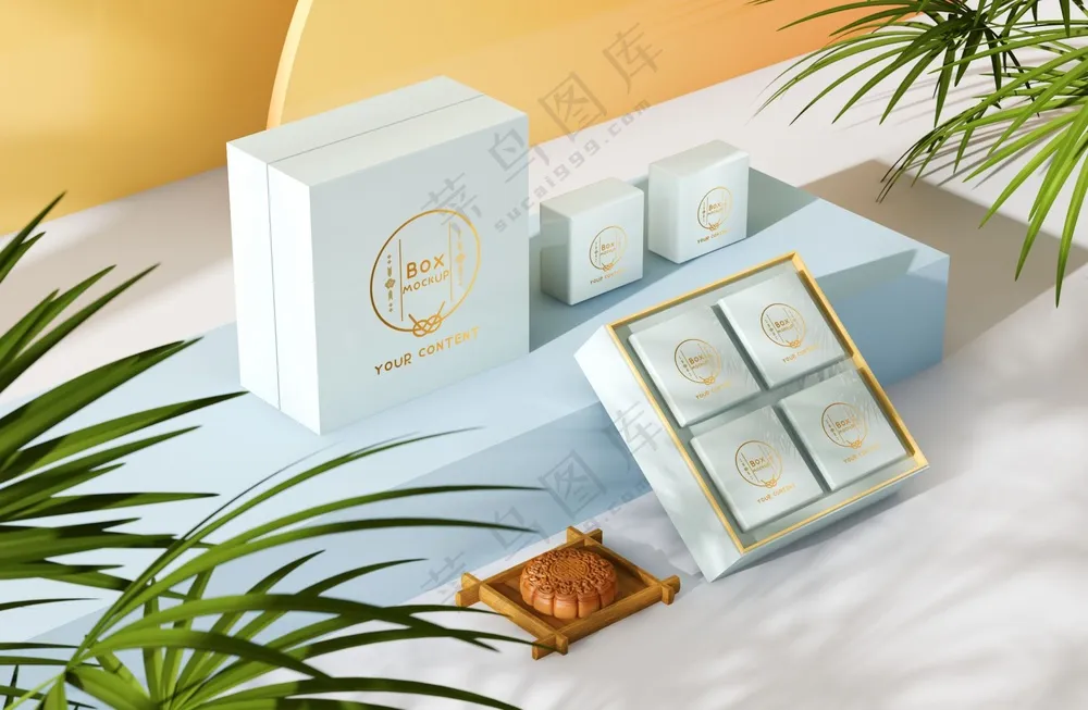 中秋节包装礼盒样机053