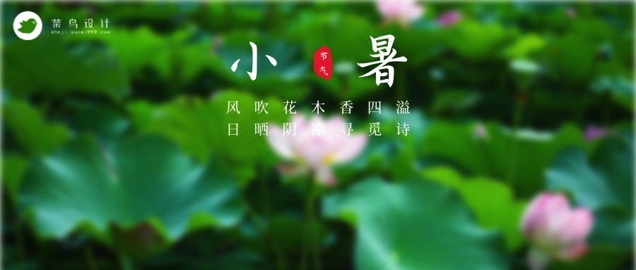 小暑公众号首图